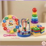 Montessory Wooden Toys Combo 3